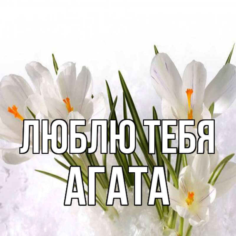 Картинка Люблю тебя, Агата