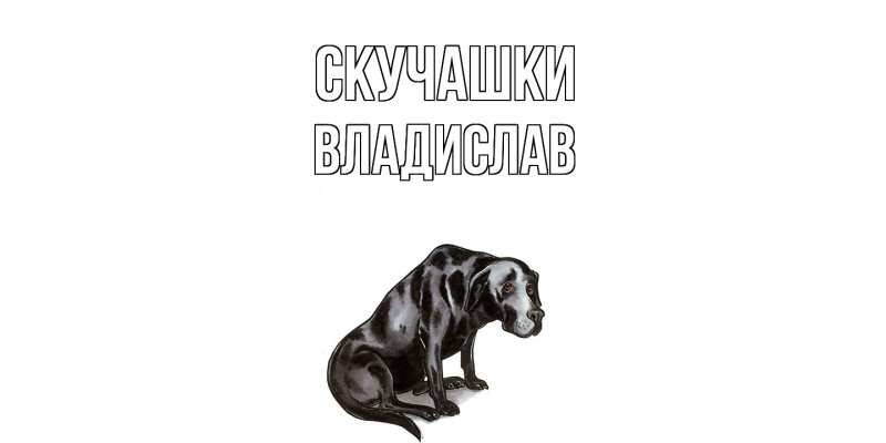 Картинка Скучашки, Владислав