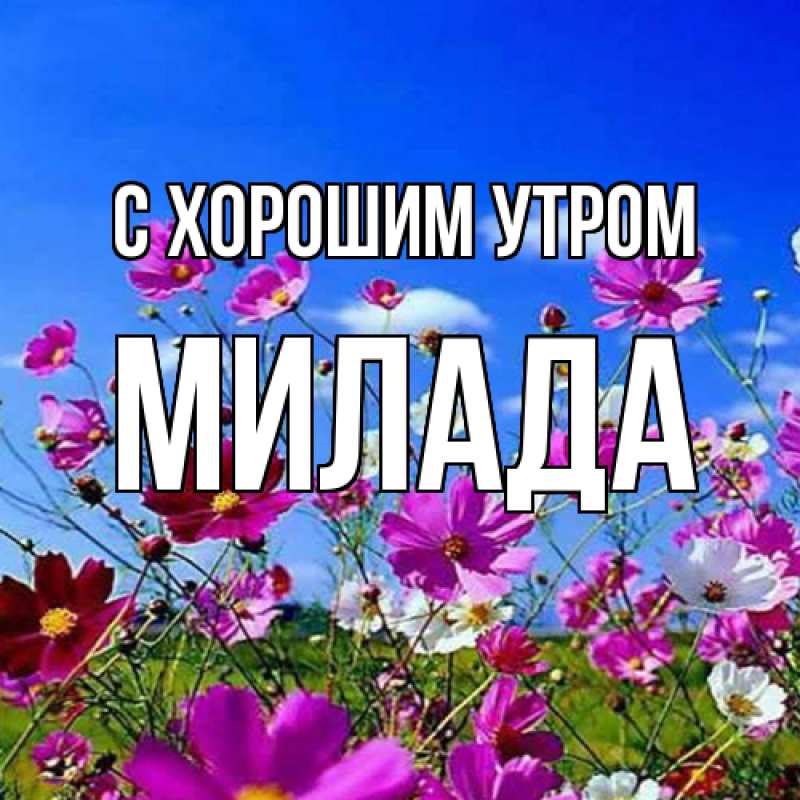 Картинка С хорошим утром, Милада