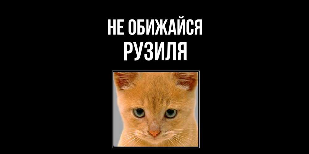 Открытка на каждый день с именем, Рузиля Не обижайся рыжий грустный кот просит прощения Прикольная открытка с пожеланием онлайн скачать бесплатно 