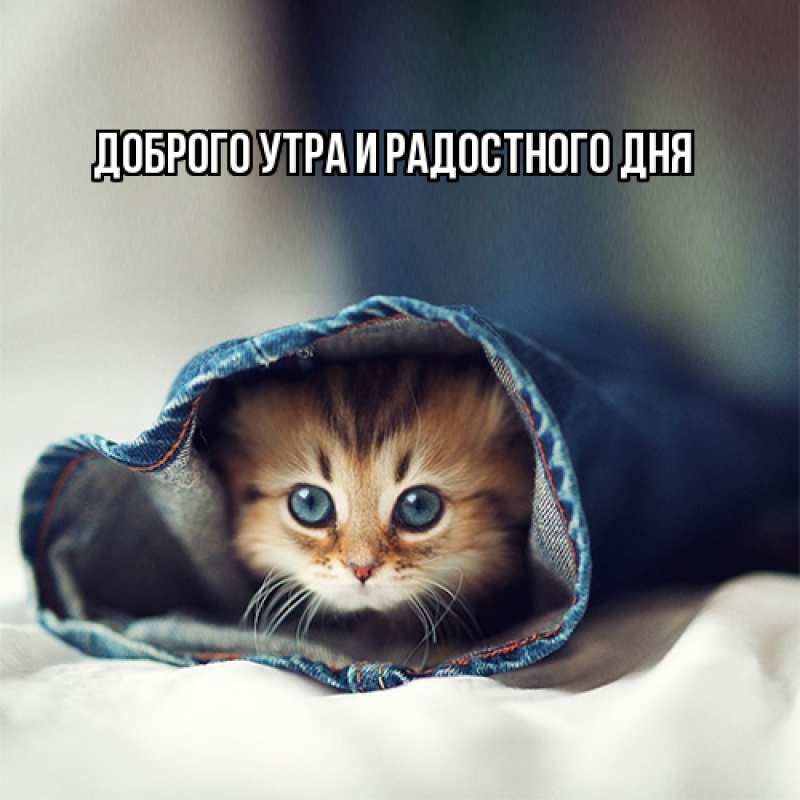 Картинка Не грусти, все будет хорошо, Ия