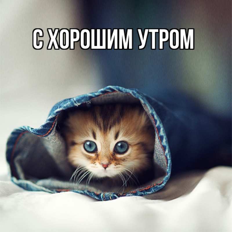 Картинка Я жду тебя, Котя