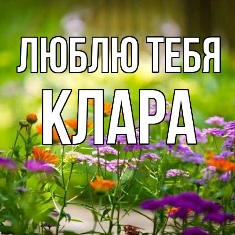 Картинка Люблю тебя, Клара