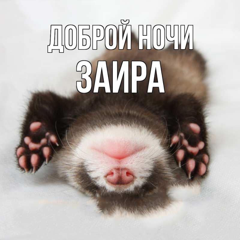 Картинка Доброй ночи, Заира