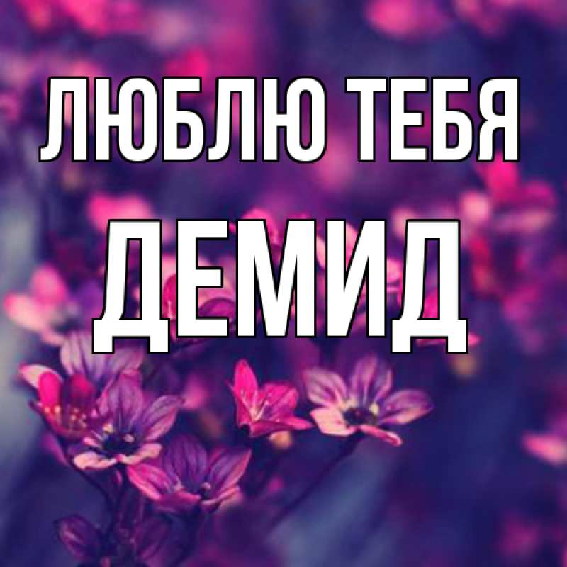 Картинка Люблю тебя, Демид