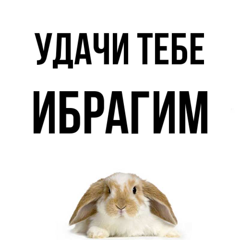 Картинка Удачи тебе, Ибрагим