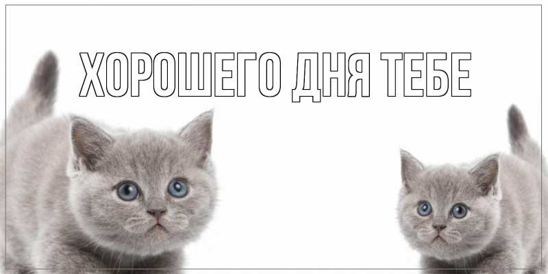 Картинка Хорошего дня тебе, 