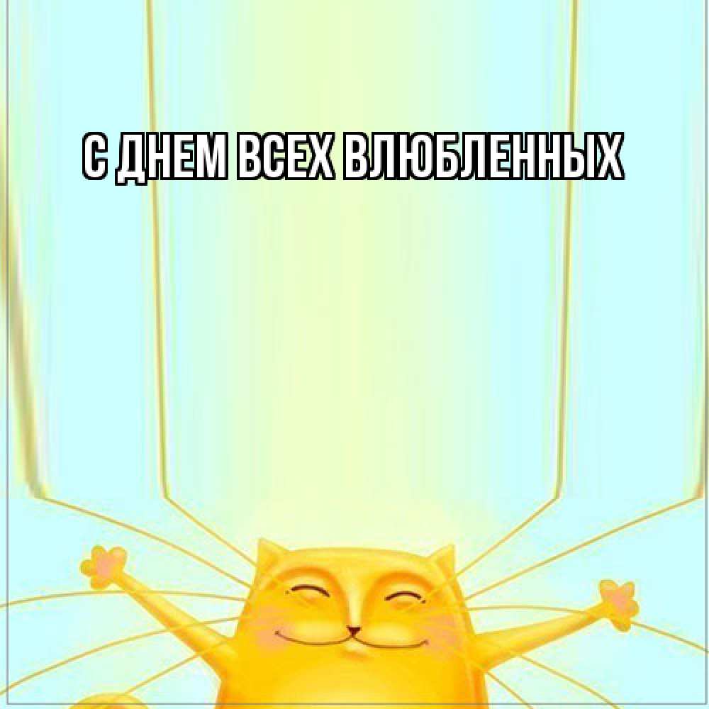 Открытка на каждый день с именем, Аврора Большое спасибо кот с усами благодарит Прикольная открытка с пожеланием онлайн скачать бесплатно 
