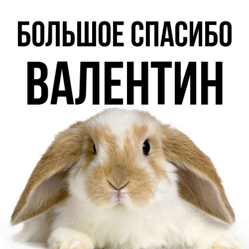 Картинка Большое спасибо, Валентин