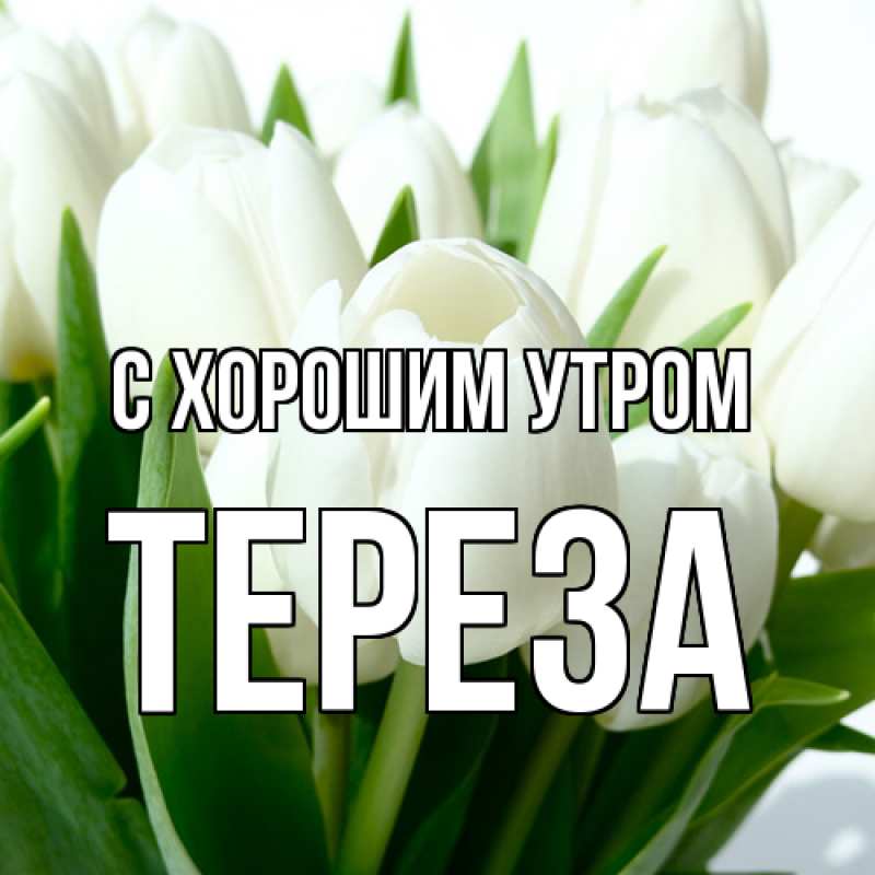 Картинка С хорошим утром, Тереза