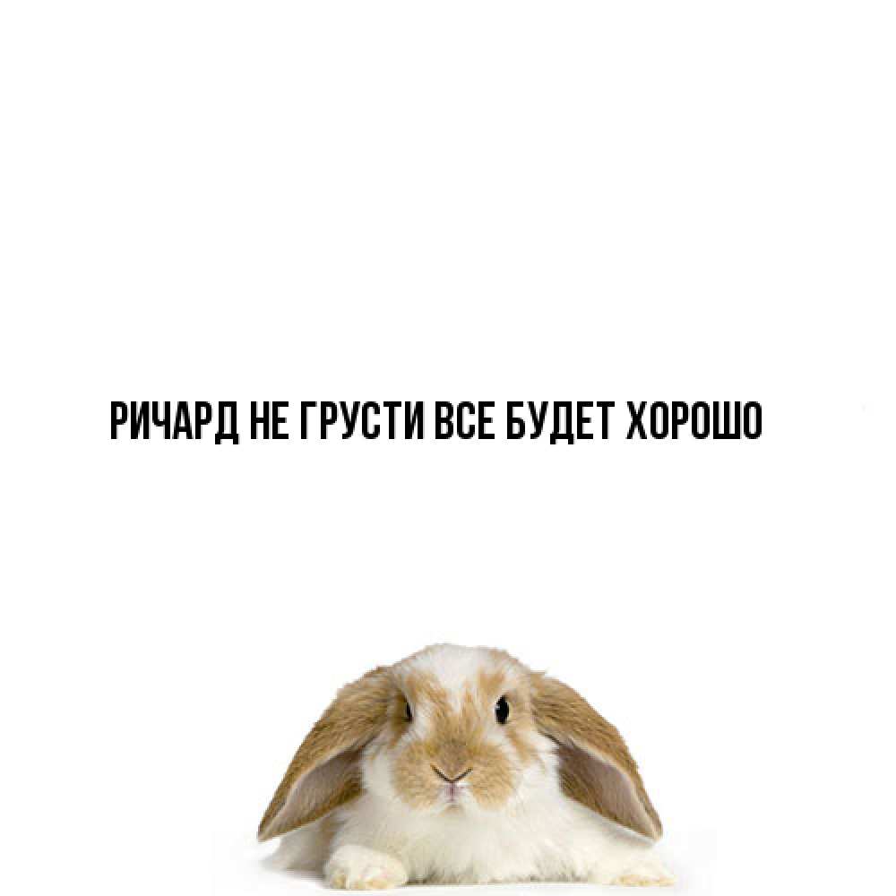 Открытка на каждый день с именем, Ричард Не грусти все будет хорошо коричнево белый заяц с большими ушками Прикольная открытка с пожеланием онлайн скачать бесплатно 