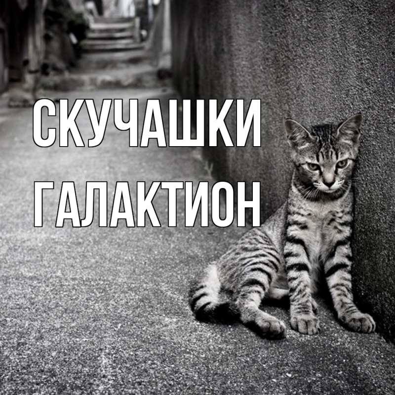 Картинка Скучашки, Галактион