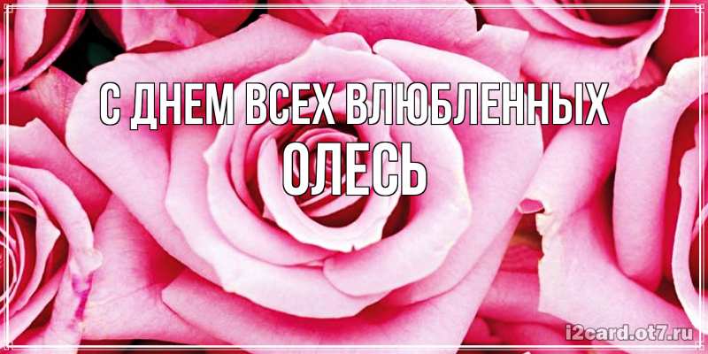 Картинка С днем всех влюбленных, Олесь