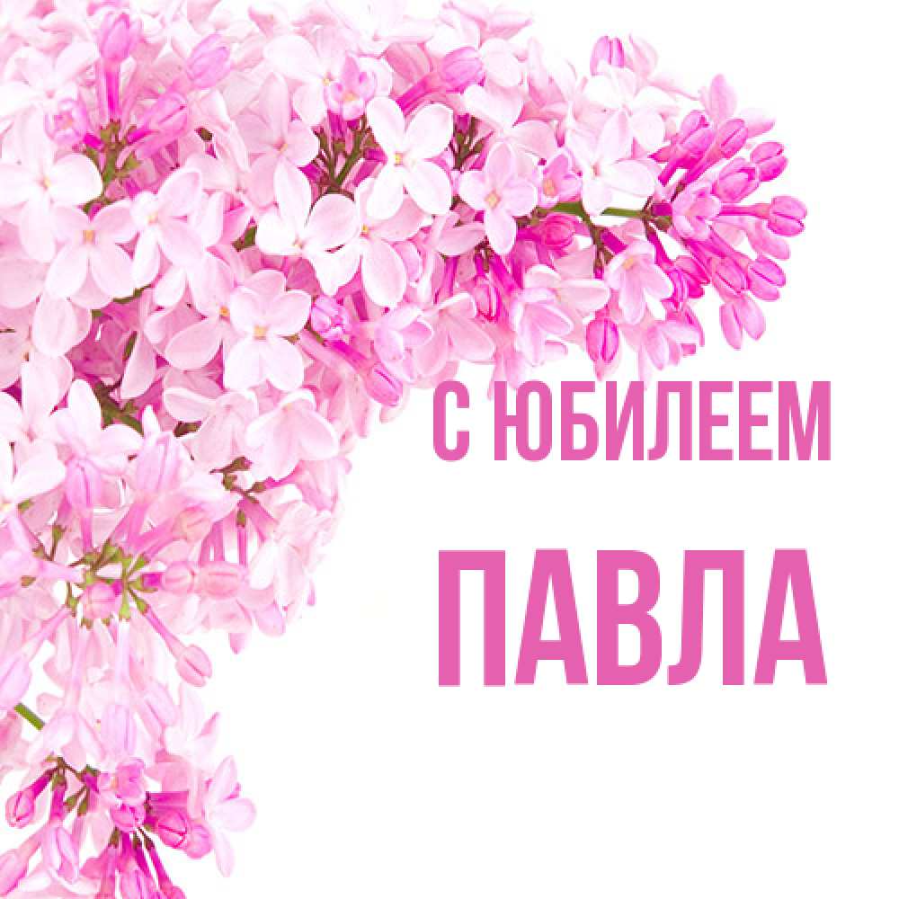 Открытка на каждый день с именем, Павла C юбилеем Сирень на белом фоне Прикольная открытка с пожеланием онлайн скачать бесплатно 