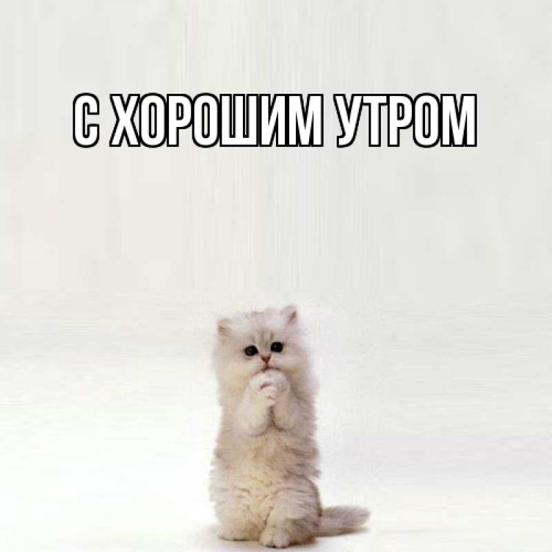 Картинка Я жду тебя, Котя