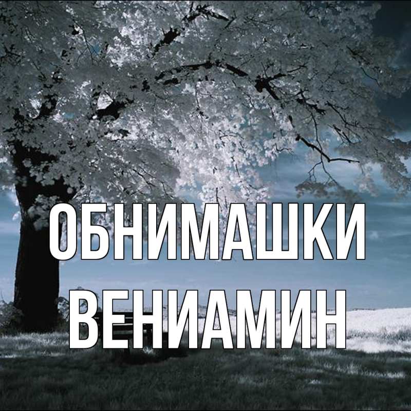 Картинка Обнимашки, Вениамин