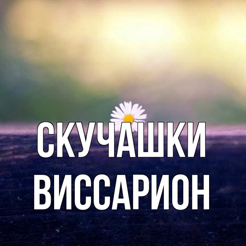 Картинка Скучашки, Виссарион