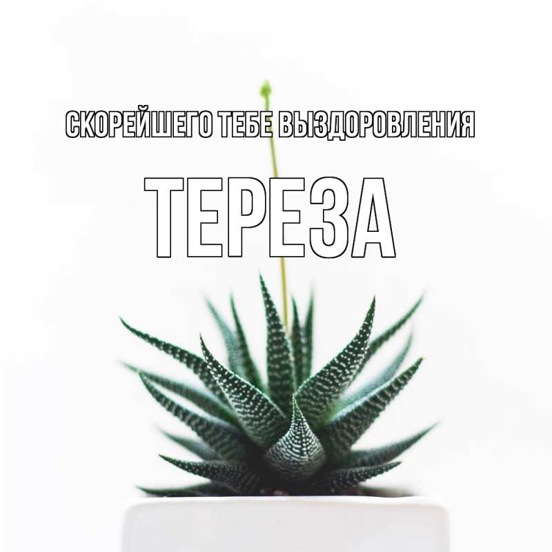 Картинка Скорейшего тебе выздоровления, Тереза