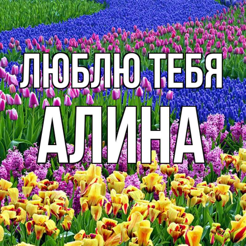 Картинка Люблю тебя, Алина