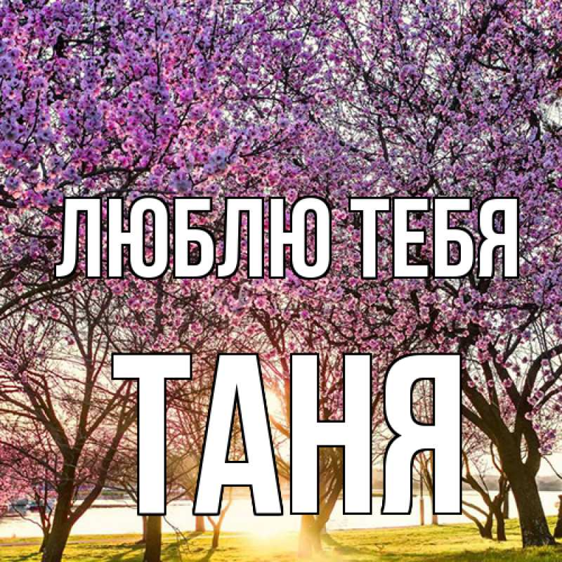 Картинка Люблю тебя, Таня