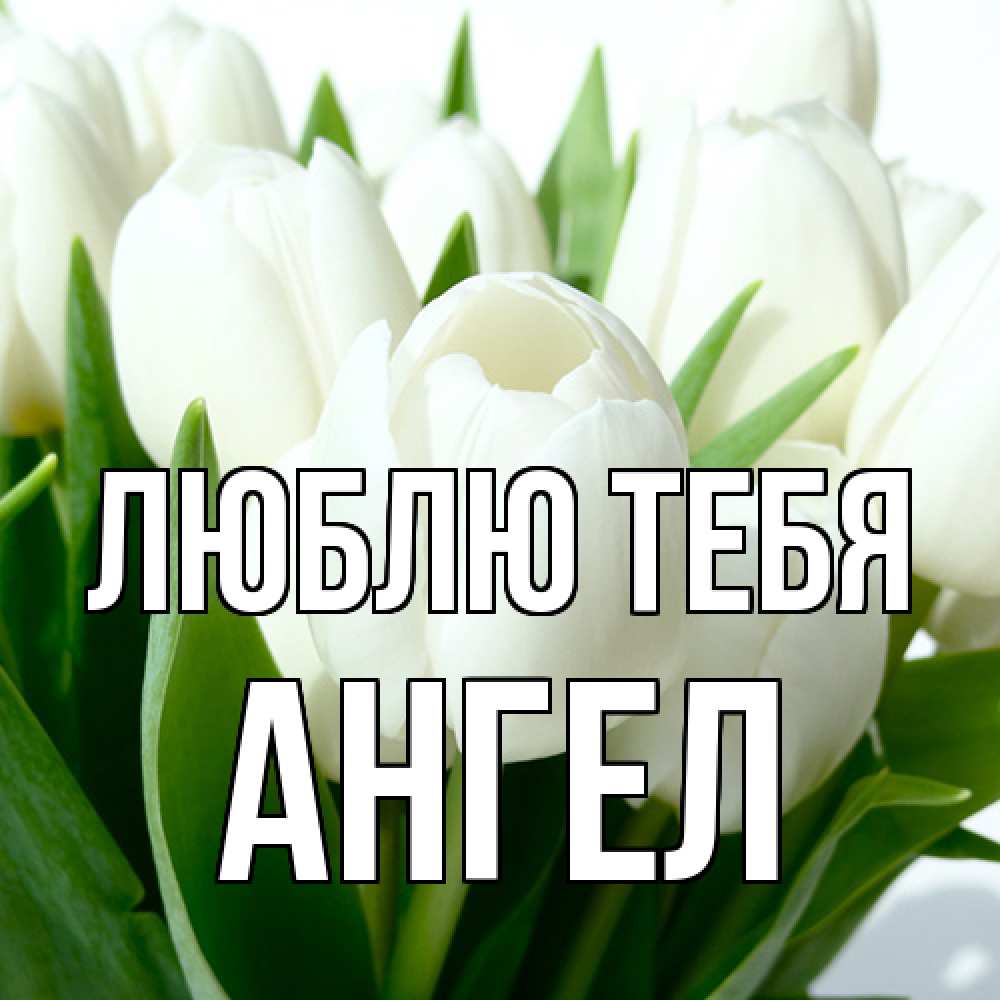 Открытка на каждый день с именем, Ангел Люблю тебя цветы Прикольная открытка с пожеланием онлайн скачать бесплатно 
