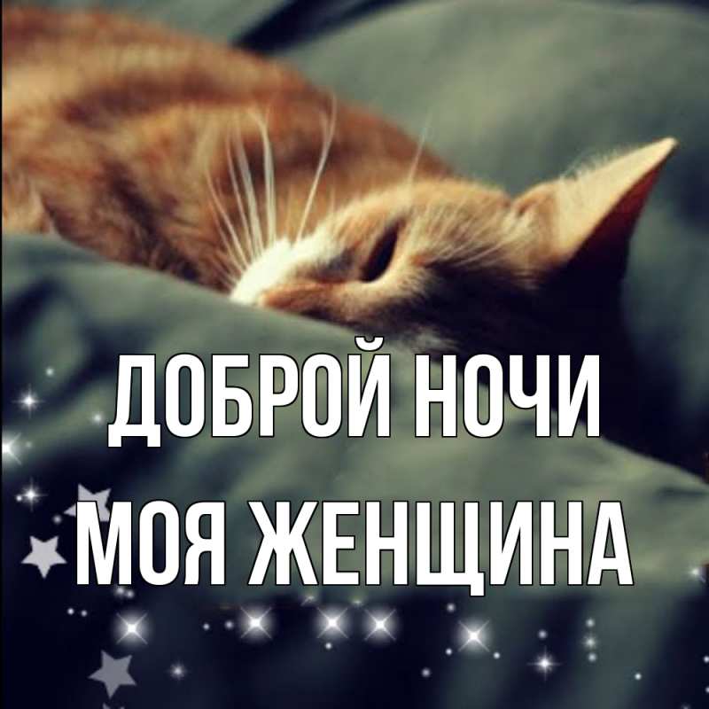 Картинка Доброй ночи, Моя женщина