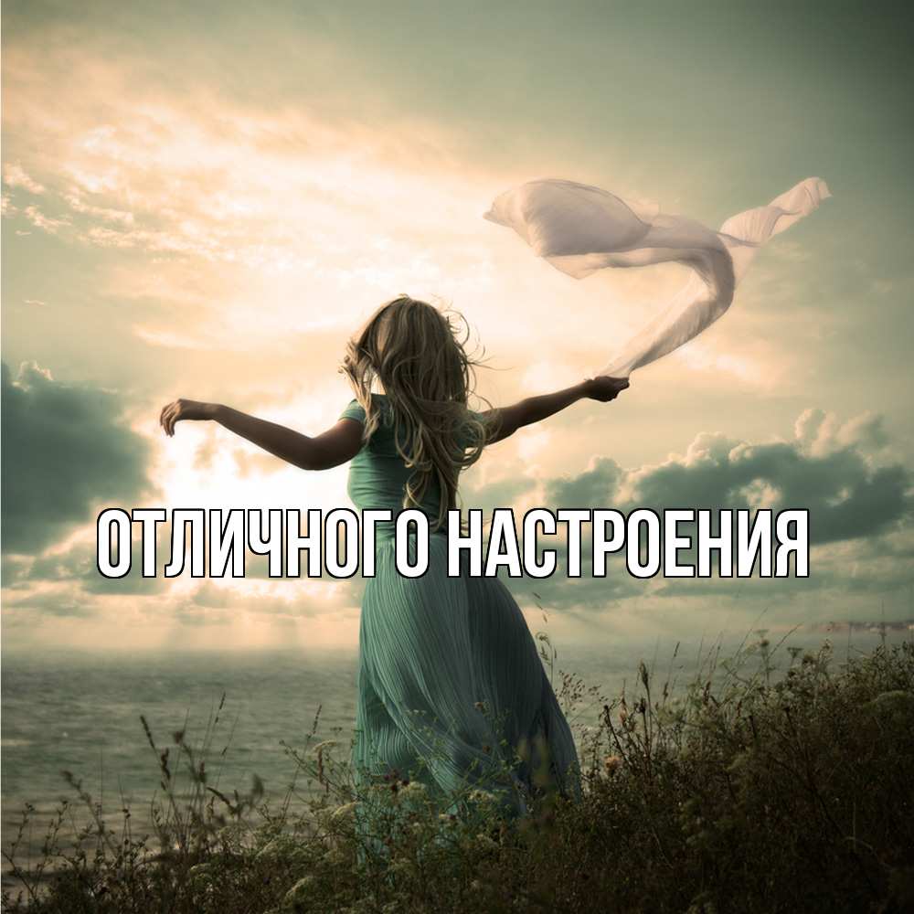 Открытка на каждый день с именем, Песподобная Скучашки белый флаг Прикольная открытка с пожеланием онлайн скачать бесплатно 