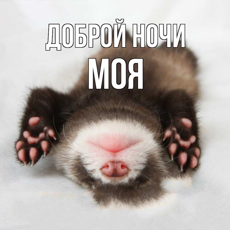 Картинка Доброй ночи, Моя