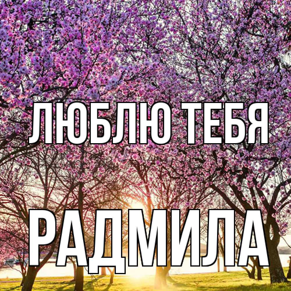 Открытка на каждый день с именем, Радмила Люблю тебя международный женский день Прикольная открытка с пожеланием онлайн скачать бесплатно 