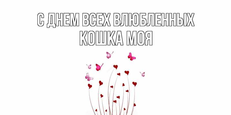 Картинка С днем всех влюбленных, Кошка моя