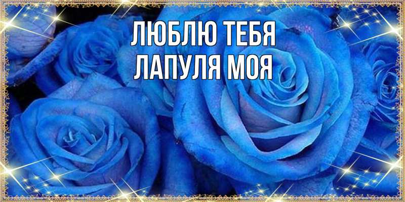 Картинка Люблю тебя, Лапуля моя
