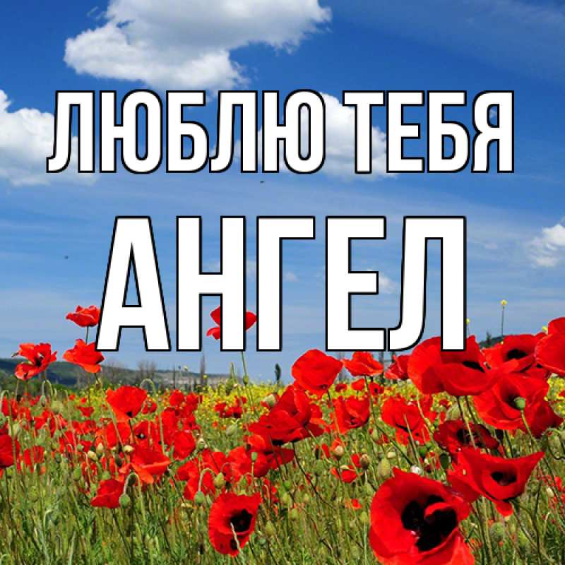 Картинка Люблю тебя, Ангел