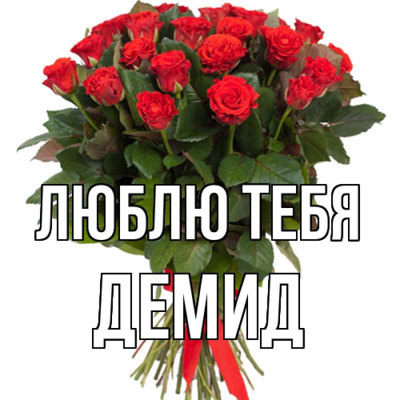 Картинка Люблю тебя, Демид