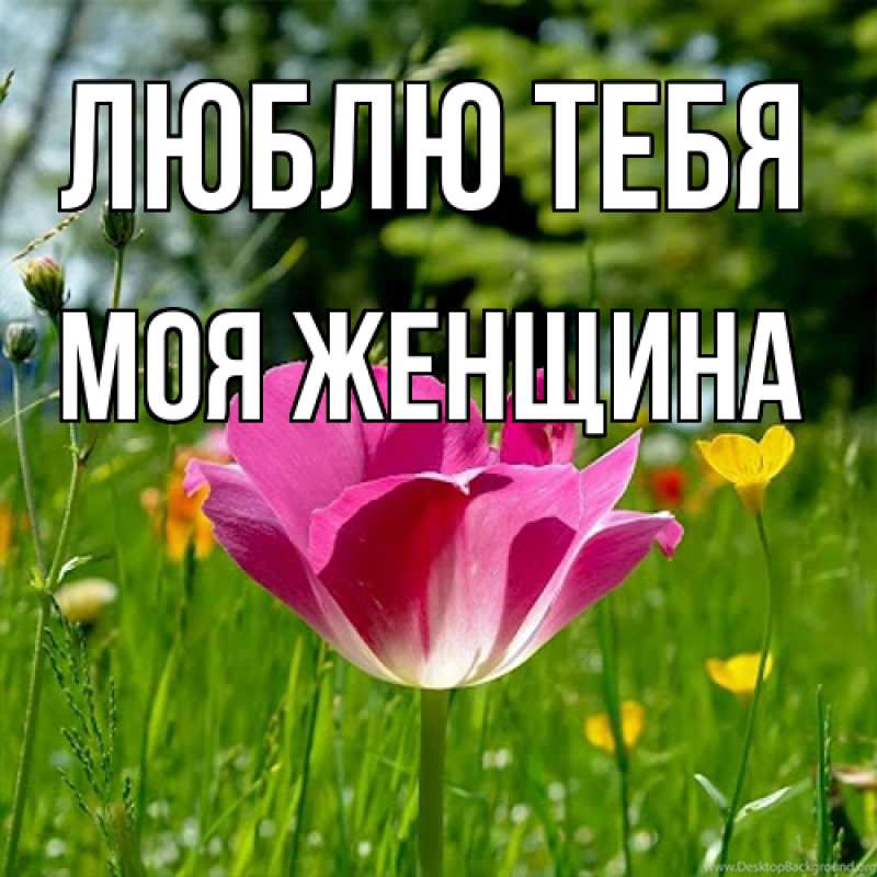 Картинка Люблю тебя, Моя женщина