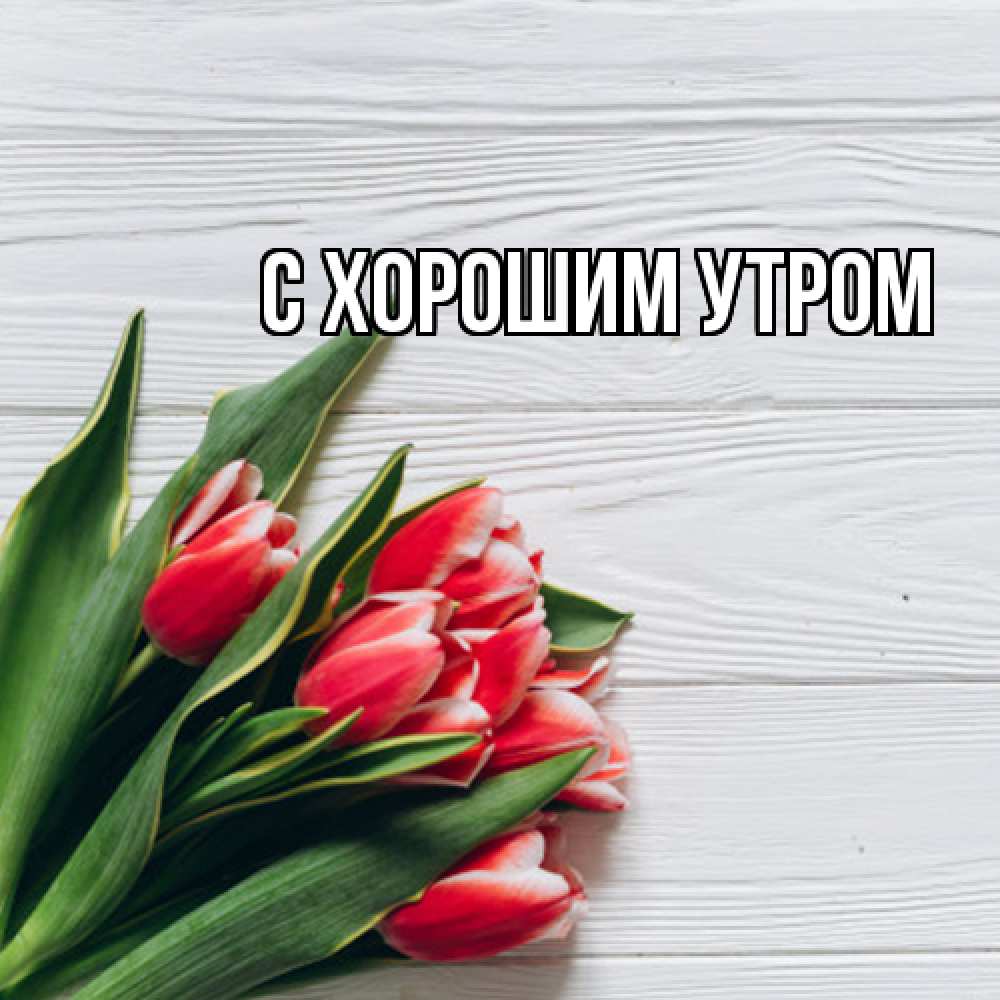 Открытка на каждый день с именем, Иван Люблю тебя весна 2 Прикольная открытка с пожеланием онлайн скачать бесплатно 