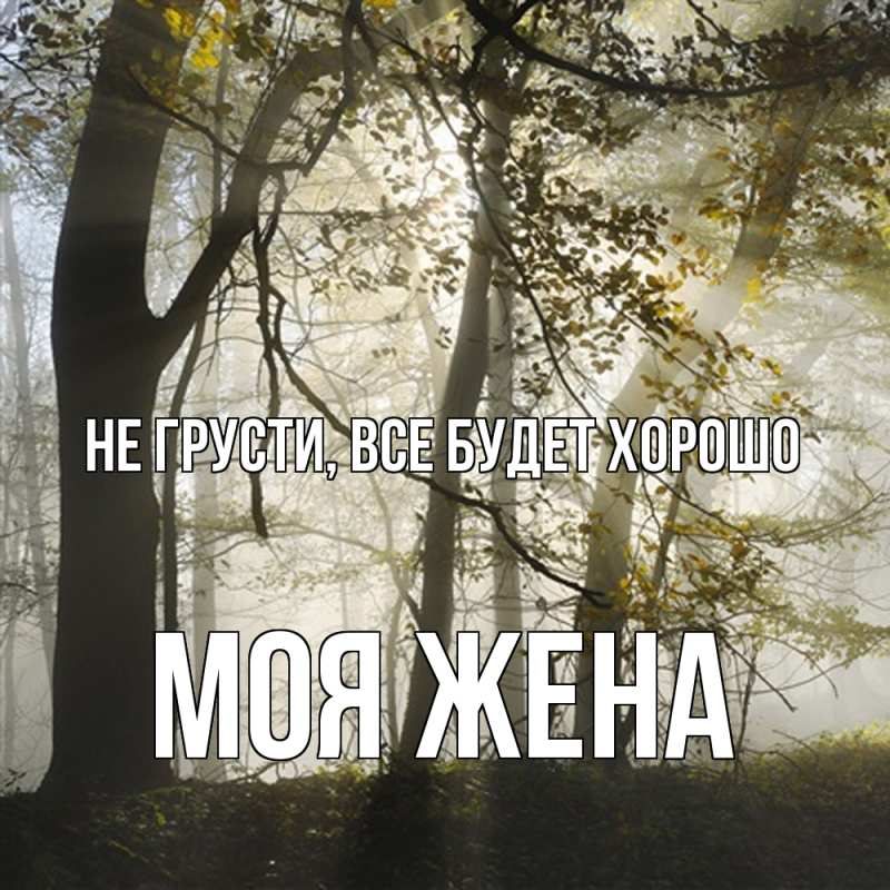 Картинка Не грусти, все будет хорошо, Моя жена