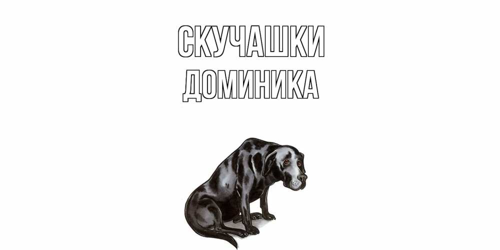 Открытка на каждый день с именем, Доминика Скучашки я по тебе скучаю открытка с собакой Прикольная открытка с пожеланием онлайн скачать бесплатно 