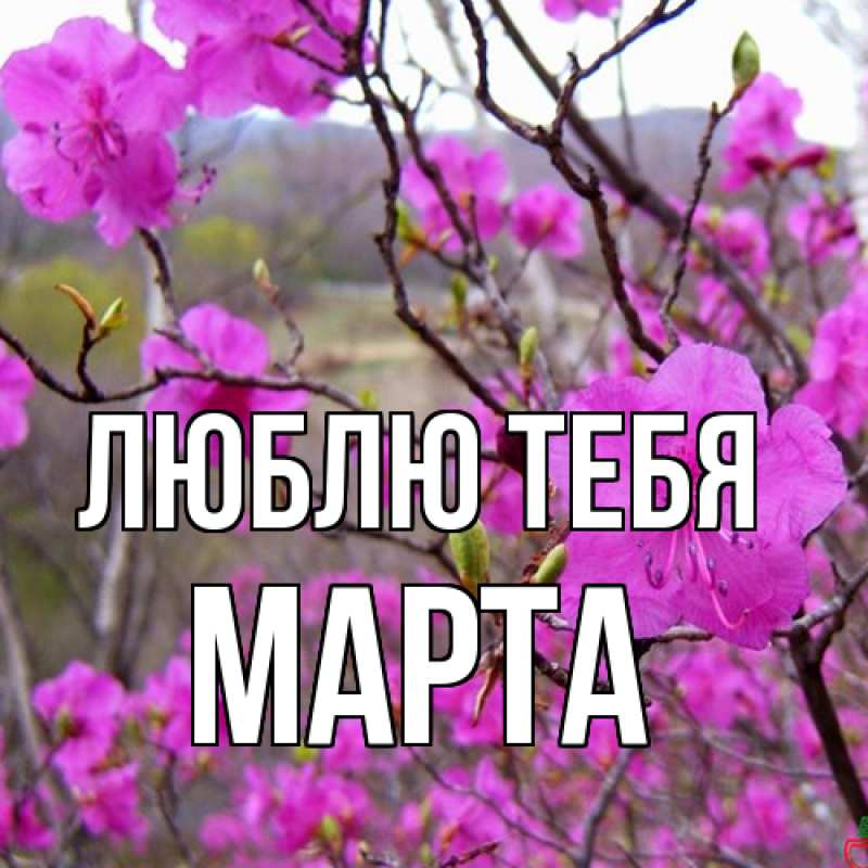 Картинка Люблю тебя, Марта