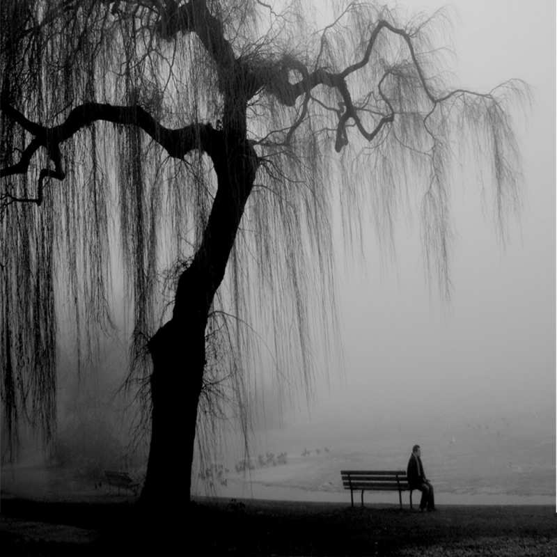 Картинка Скучашки, Богдан