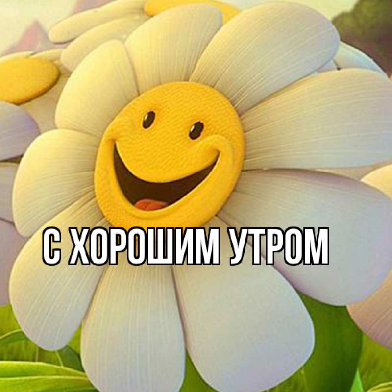 Картинка Удачи тебе, Кора