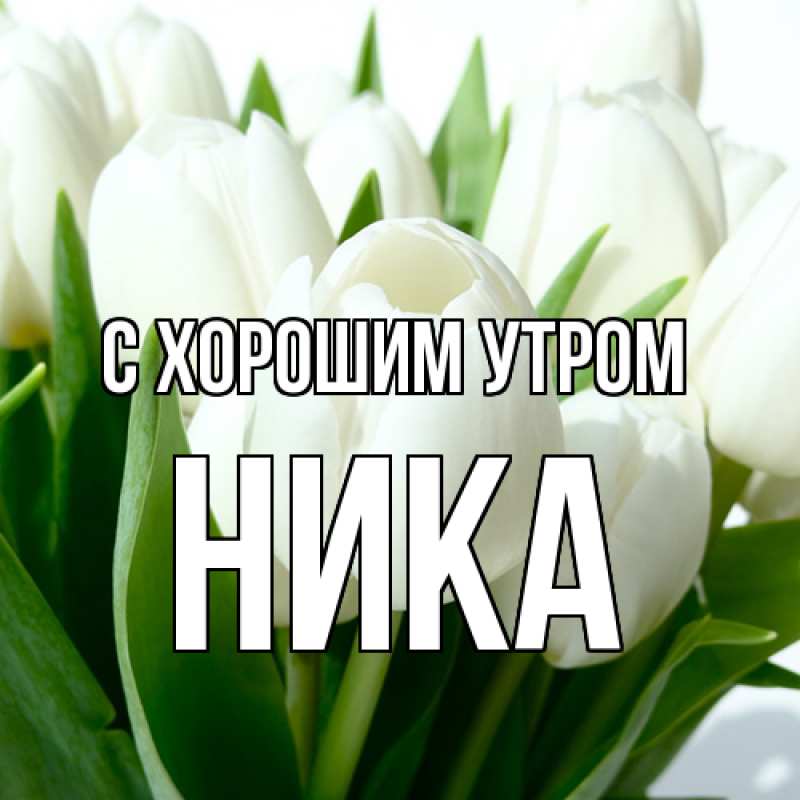 Картинка С хорошим утром, Ника