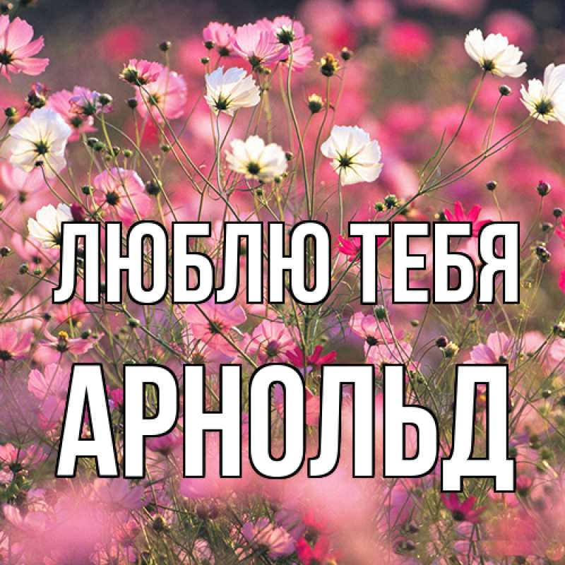 Открытка с именем, Арнольд, Люблю тебя