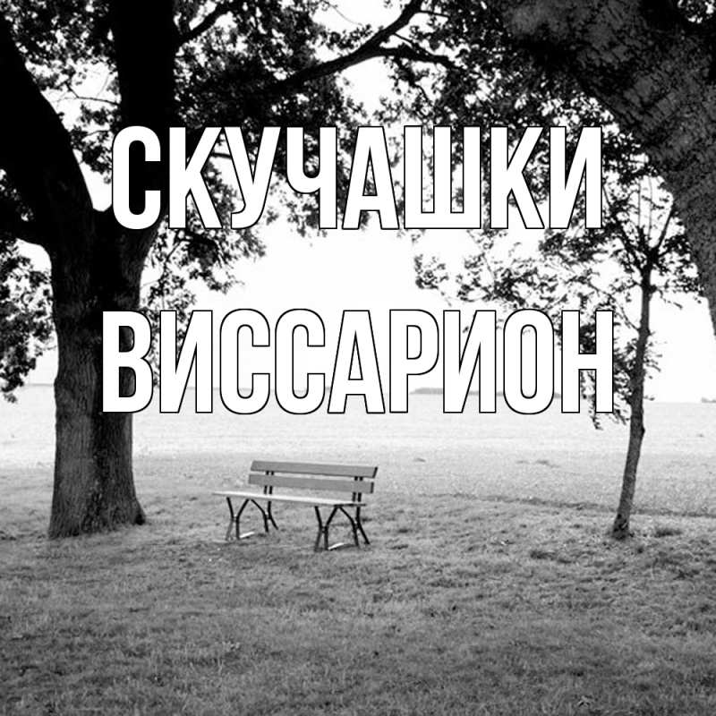 Картинка Скучашки, Виссарион