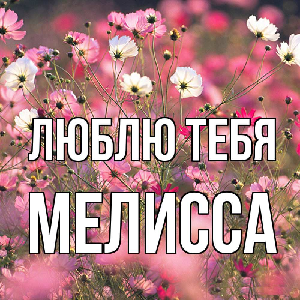 Открытка на каждый день с именем, Мелисса Люблю тебя красиво 1 Прикольная открытка с пожеланием онлайн скачать бесплатно 