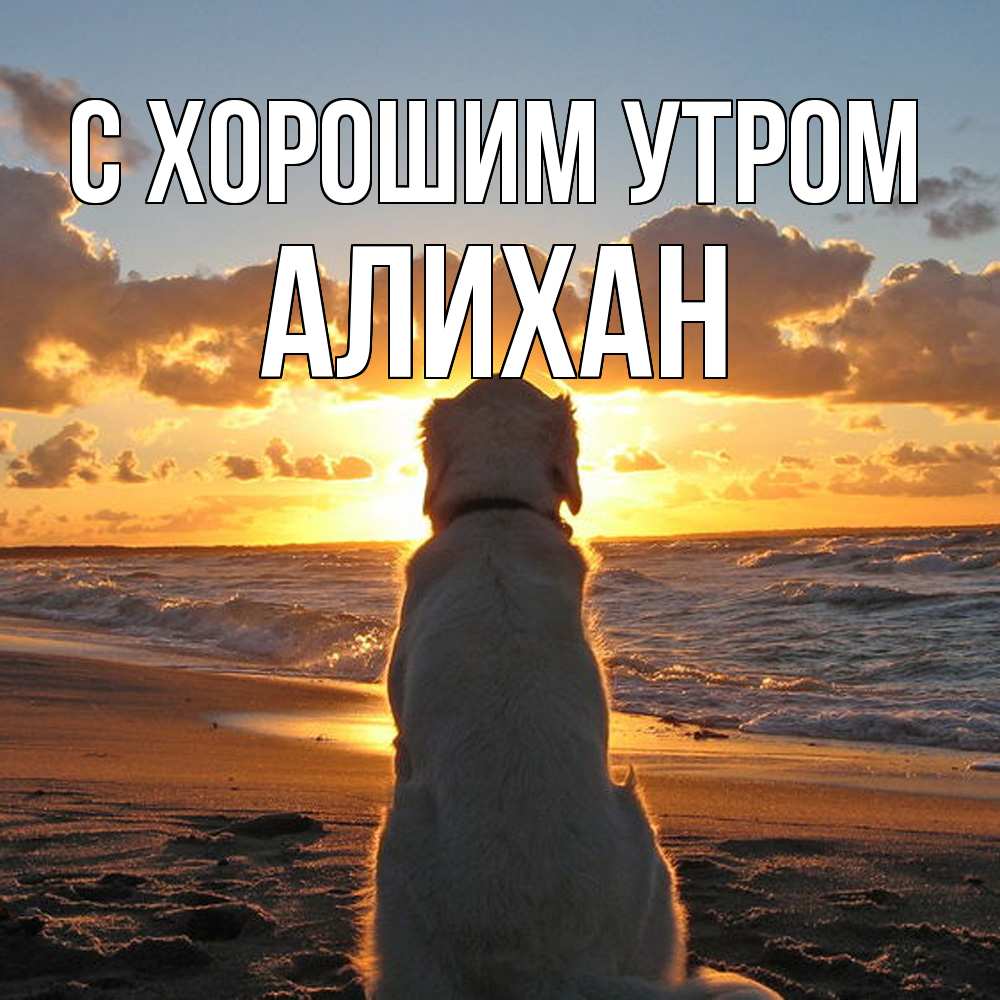 Открытка на каждый день с именем, Алихан С хорошим утром восход солнца Прикольная открытка с пожеланием онлайн скачать бесплатно 