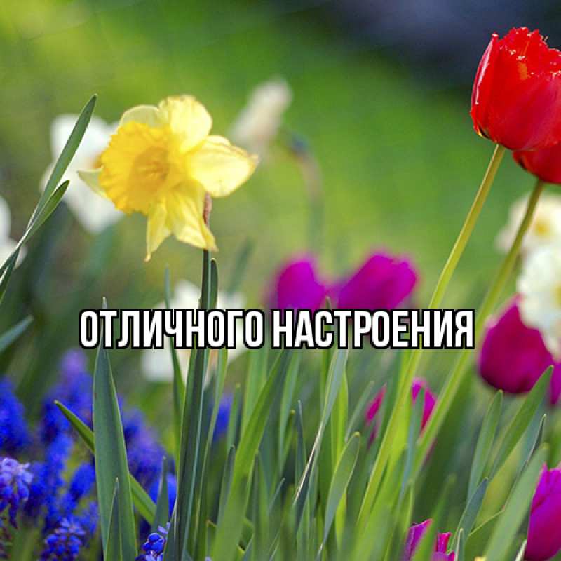 Картинка Люблю тебя, Габриэлла