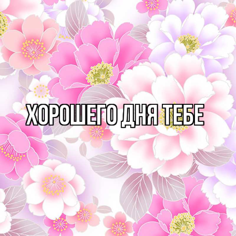 Картинка Люблю тебя, Евграф