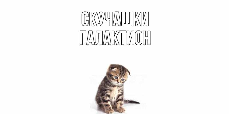 Картинка Скучашки, Галактион
