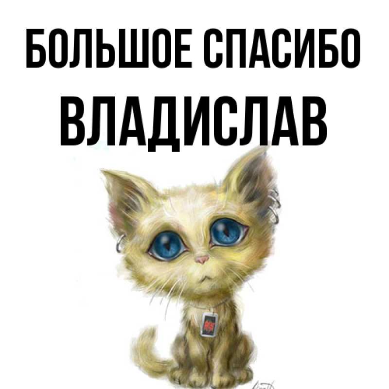 Картинка Большое спасибо, Владислав