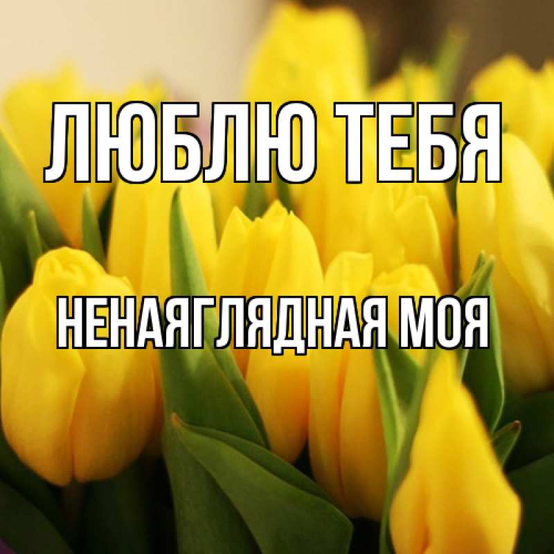 Картинка Люблю тебя, Ненаяглядная моя